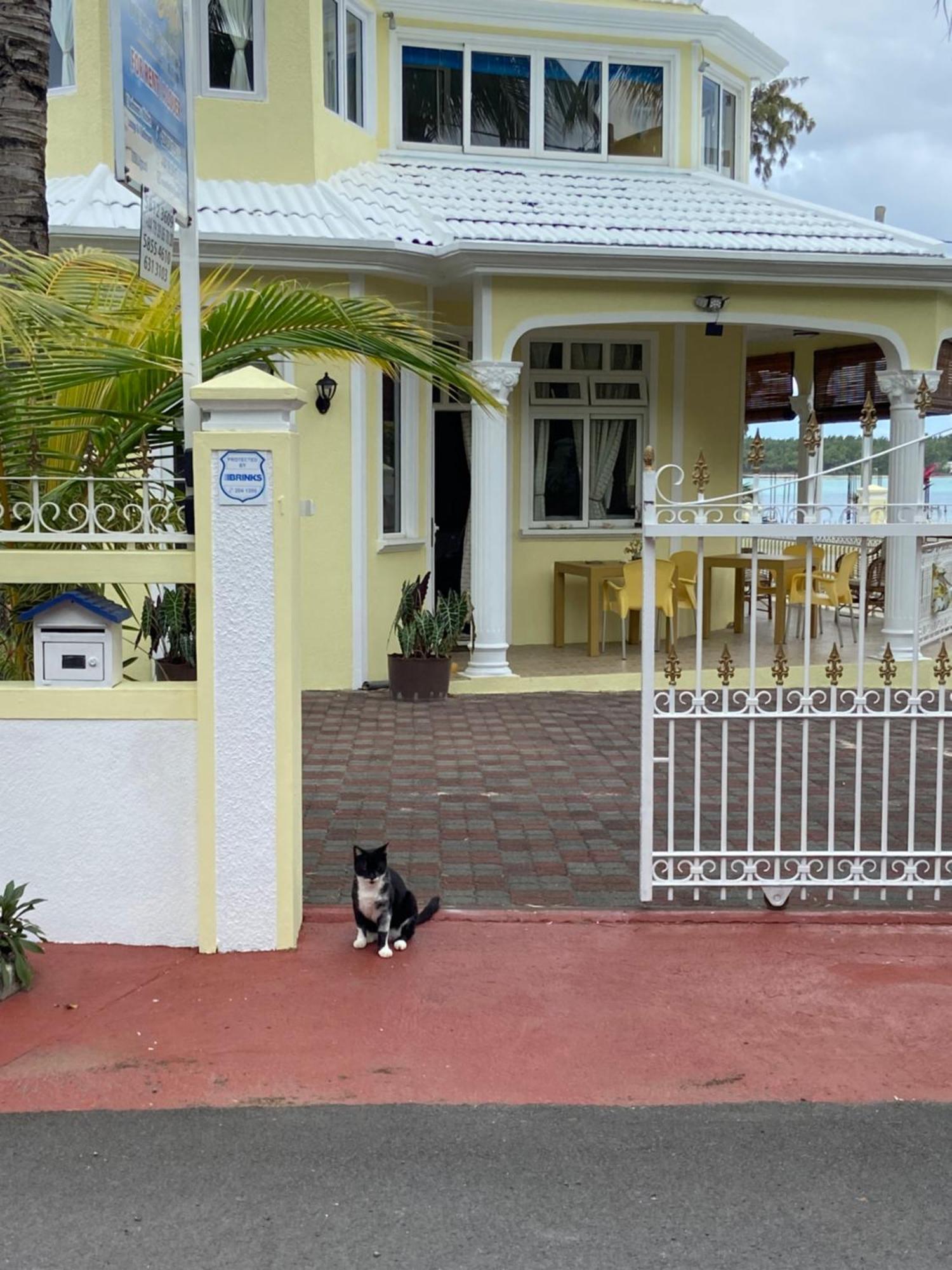 Villa Bella Charming Beachfront Guesthouse Блу-Бэй Экстерьер фото